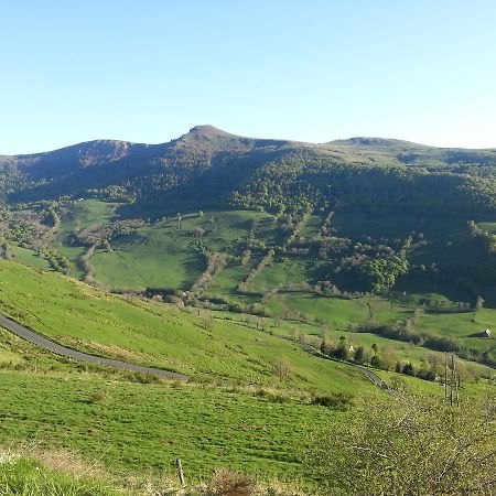 Auberge Du Col De Neronne Hotel Le Falgoux Екстериор снимка