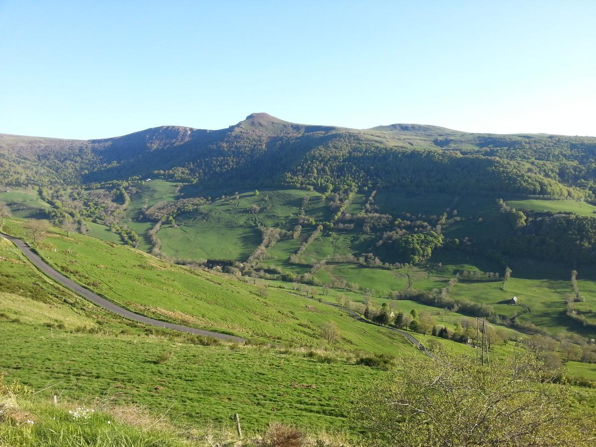 Auberge Du Col De Neronne Hotel Le Falgoux Екстериор снимка