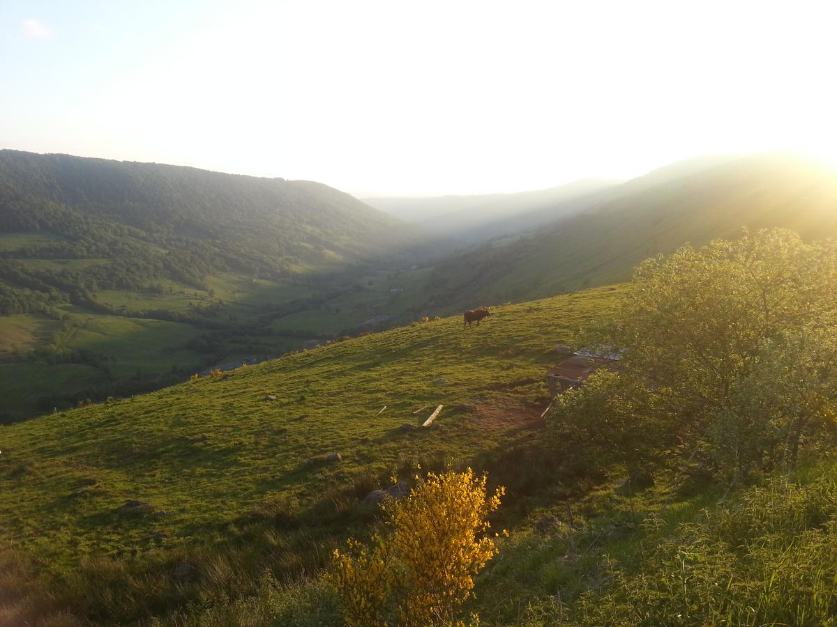 Auberge Du Col De Neronne Hotel Le Falgoux Екстериор снимка